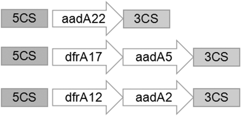 FIG. 1.