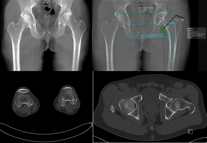 Fig. 4