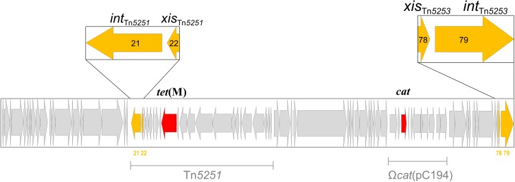 FIGURE 3