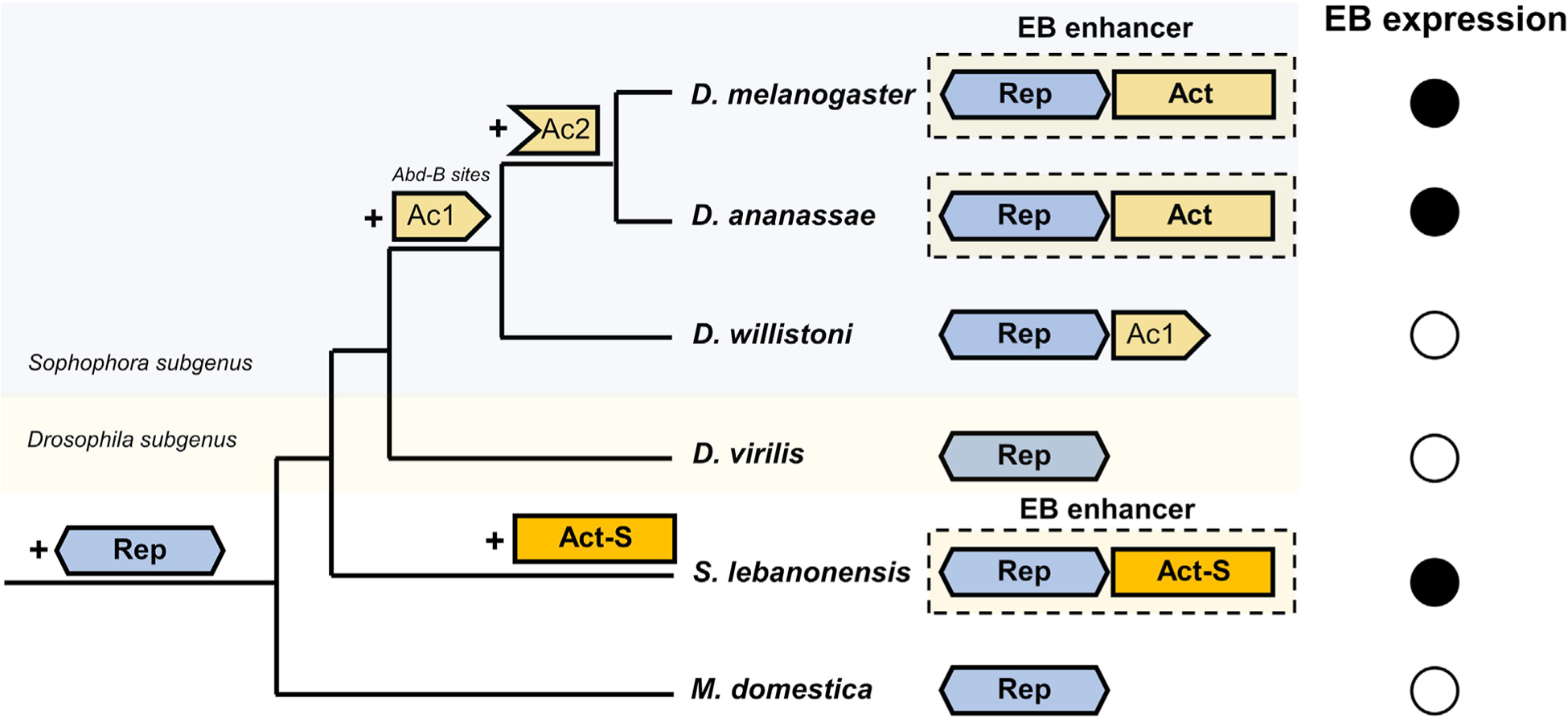 Figure 7.