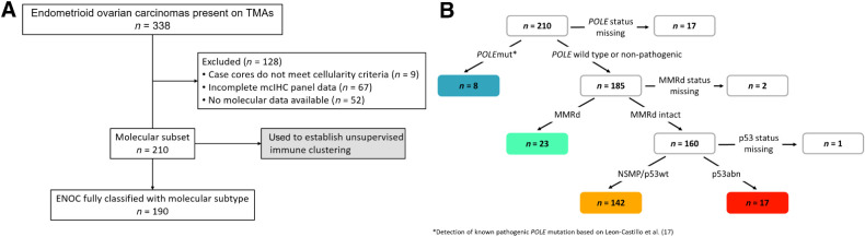 Figure 1. Cohort classification. A, Schematic showing the samples included for the immune microenvironment analysis based on available data. B, Molecular subtype assignment of ENOC cases based on surrogate biomarkers and complete mcIHC panel data.