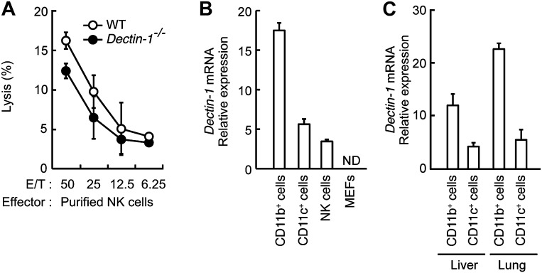 Figure 2—figure supplement 3.