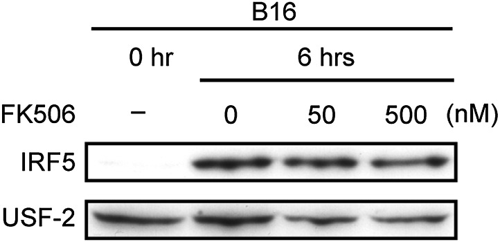 Figure 2—figure supplement 2.