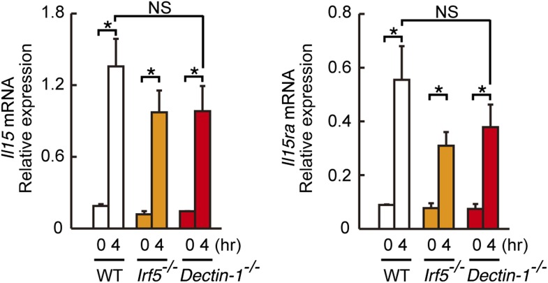 Figure 4—figure supplement 1.