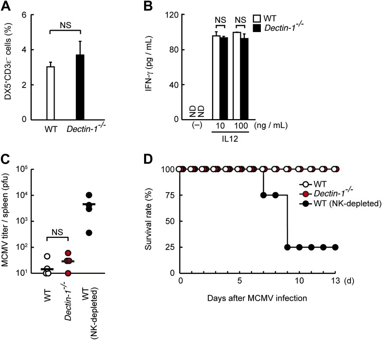 Figure 2—figure supplement 7.