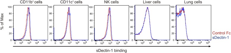 Figure 3—figure supplement 1.