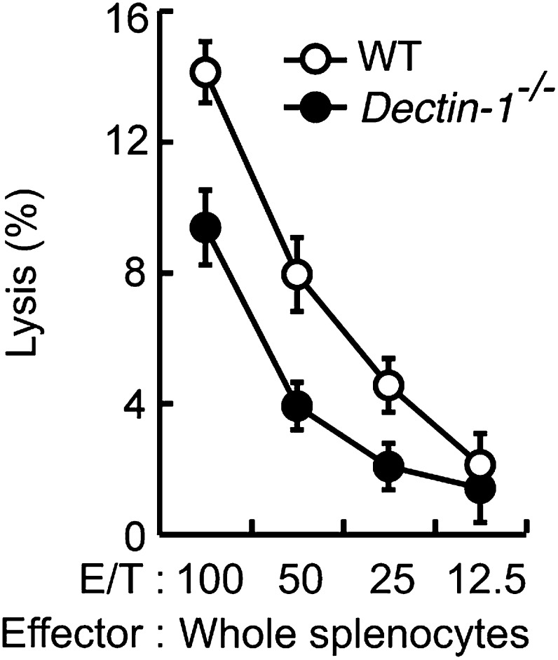 Figure 5—figure supplement 3.