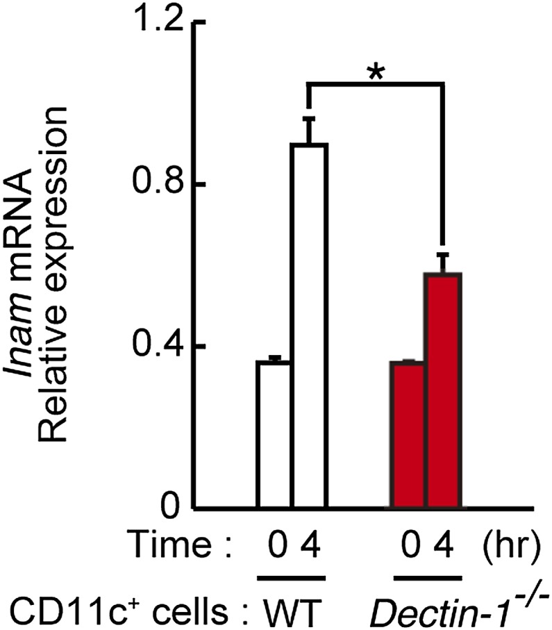 Figure 5—figure supplement 6.