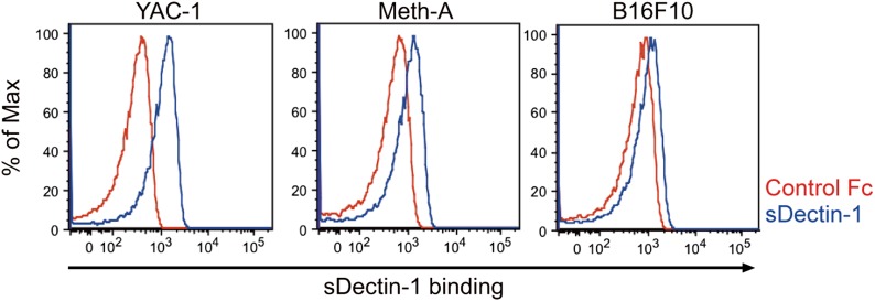 Figure 5—figure supplement 1.