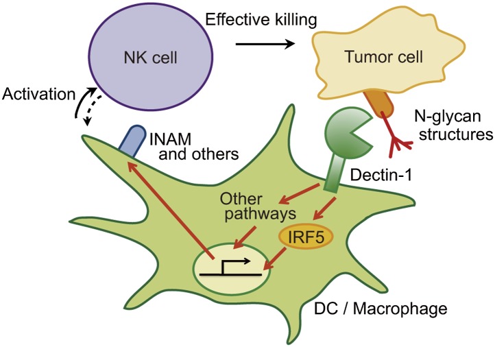 Figure 6.