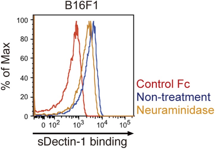 Figure 3—figure supplement 2.