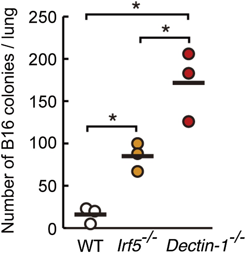 Figure 2—figure supplement 5.