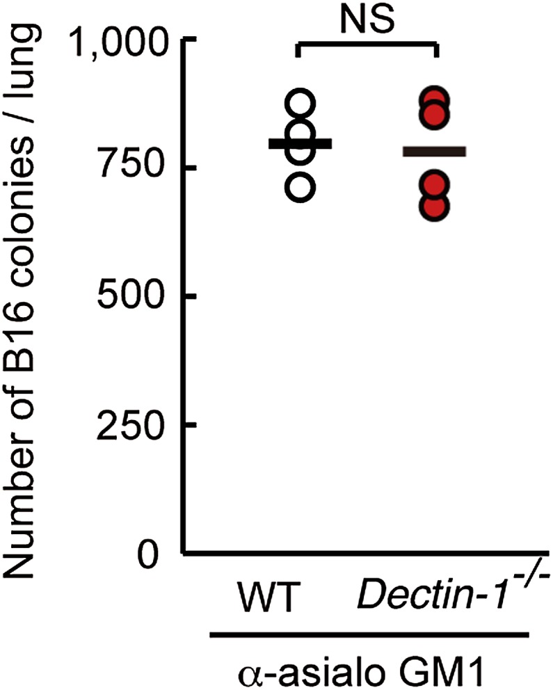 Figure 2—figure supplement 6.