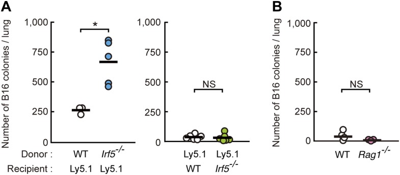 Figure 1—figure supplement 2.