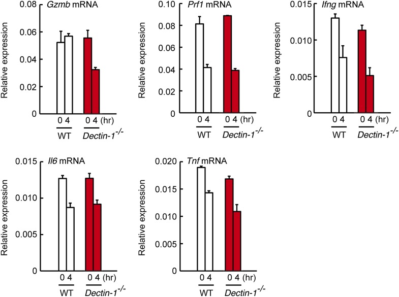 Figure 2—figure supplement 8.