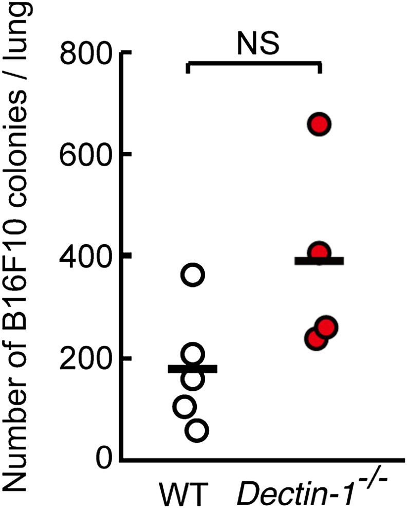 Figure 5—figure supplement 4.