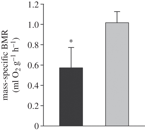 Figure 2.