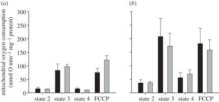 Figure 3.