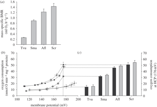 Figure 1.