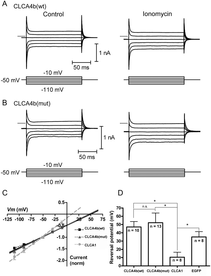 Fig 5