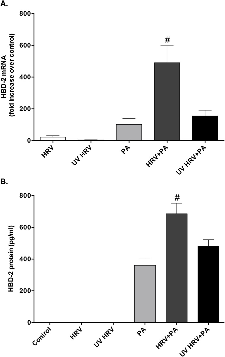 Fig 6