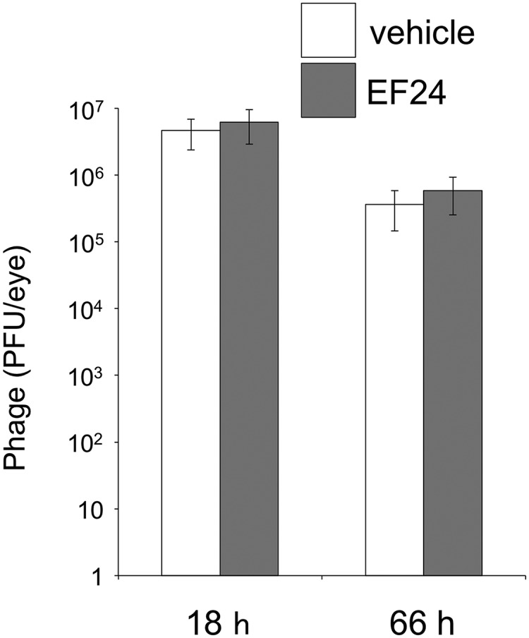 FIG 9