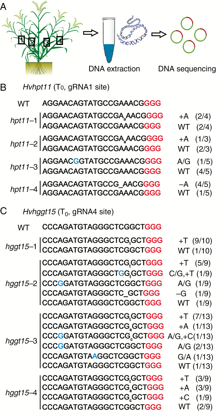 Fig. 3.