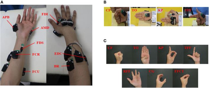 Figure 4