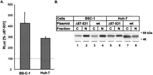 FIG. 8