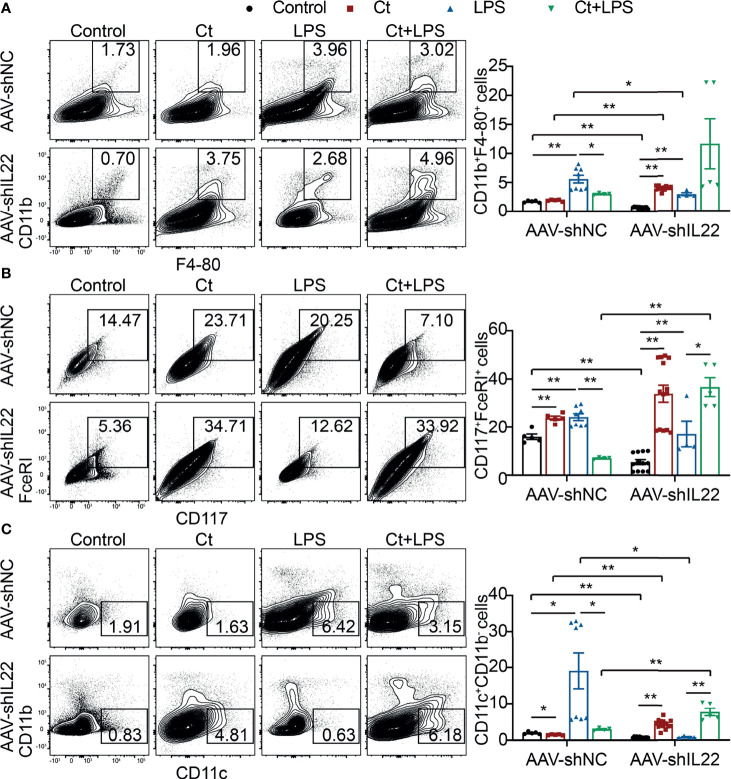 Figure 4