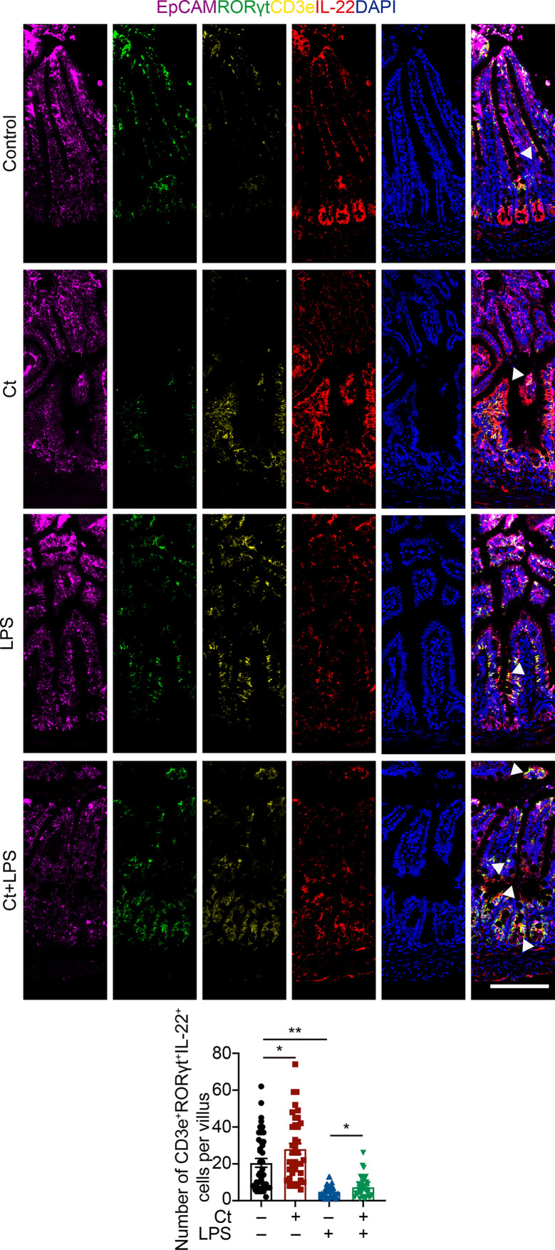 Figure 7