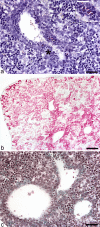 Fig. 7