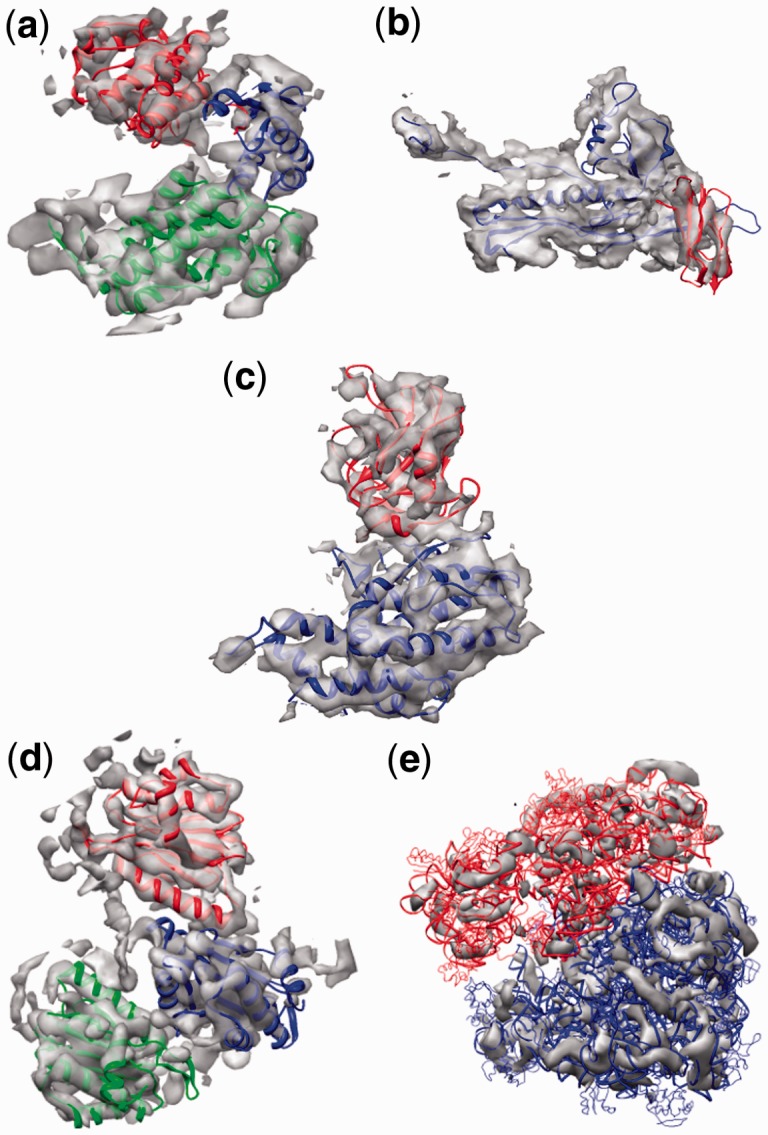 Fig. 10.