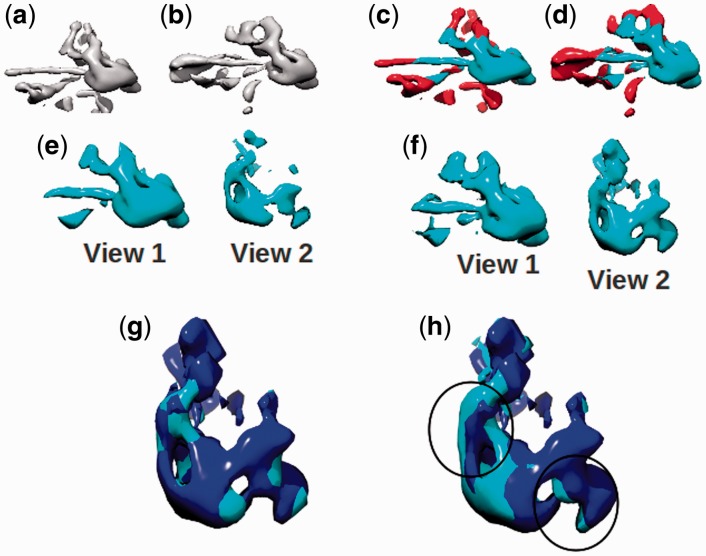 Fig. 6.