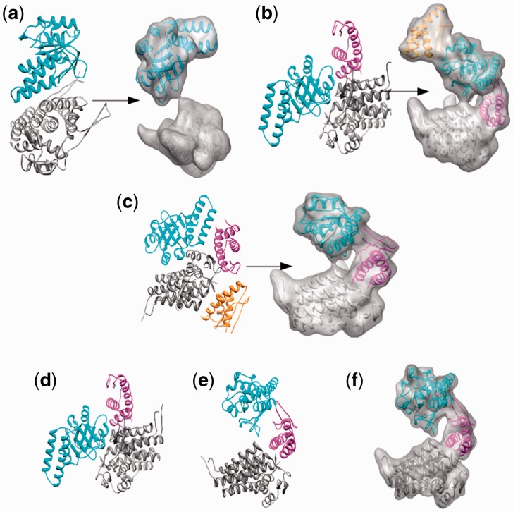 Fig. 7.