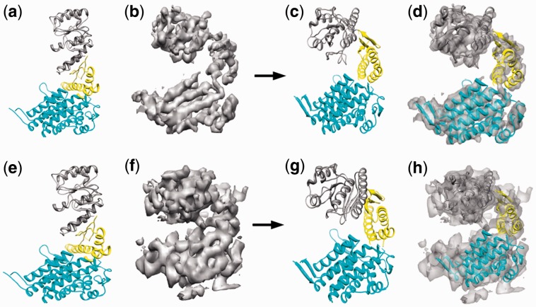 Fig. 8.