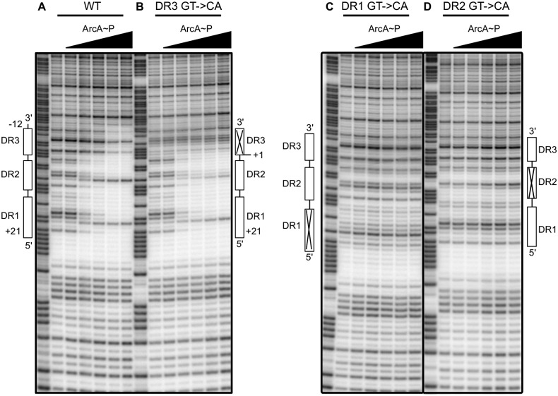 FIG 2 