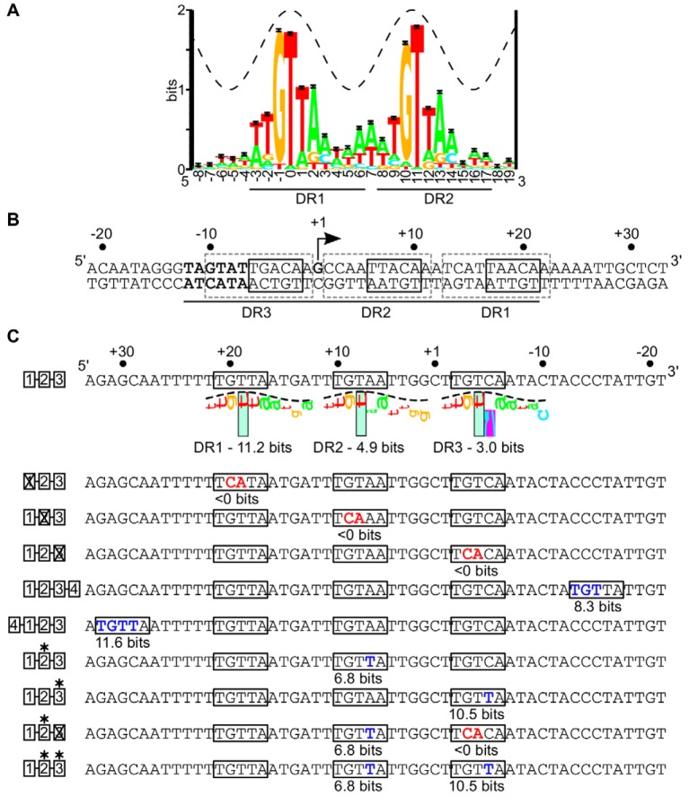 FIG 1 