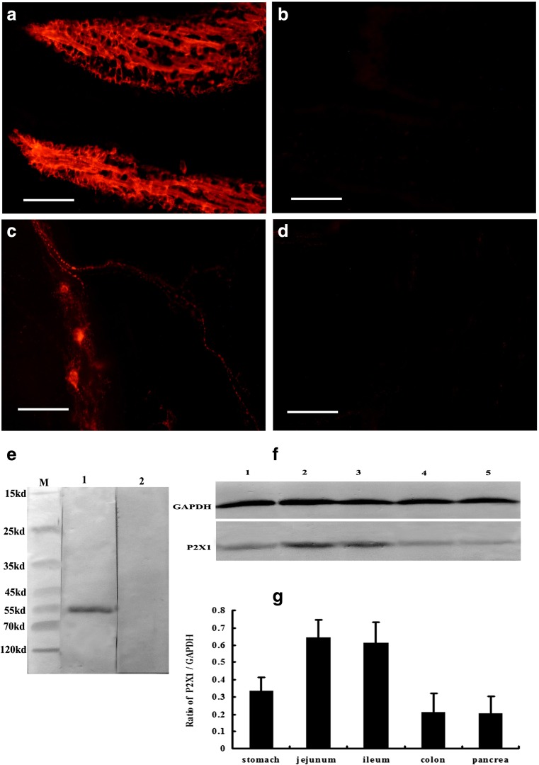 Fig. 13