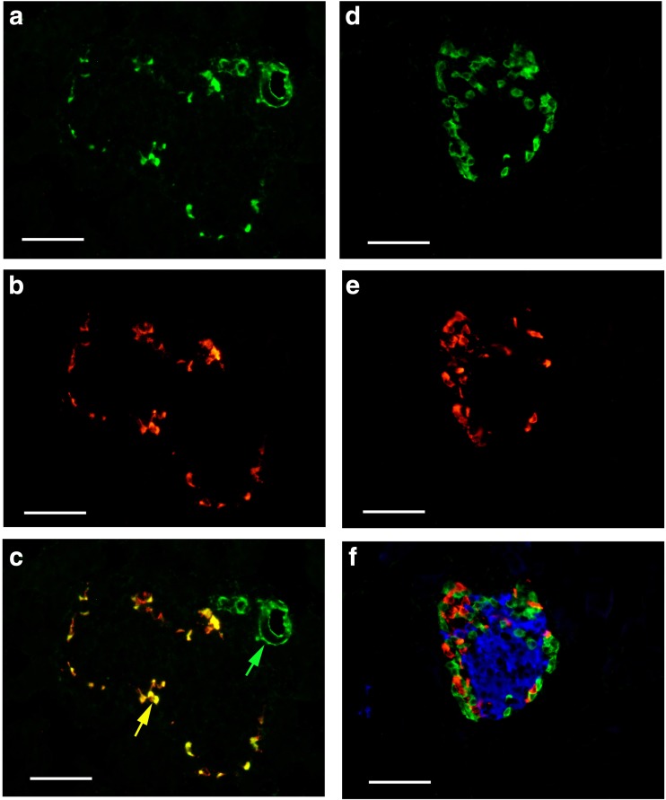 Fig. 11