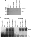 FIG 5
