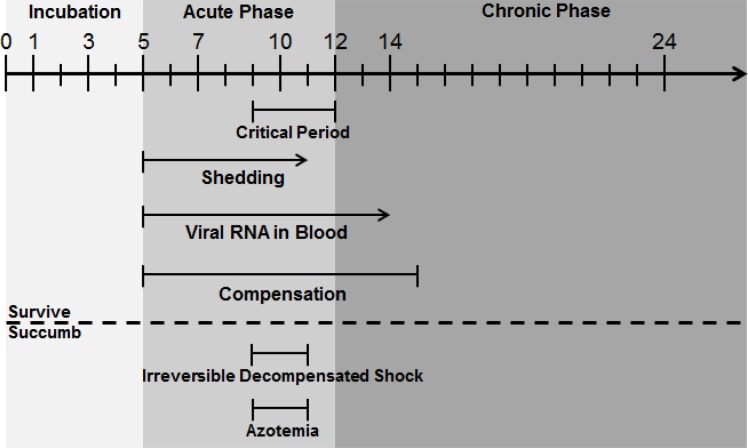 Fig 12