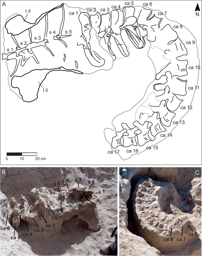 Fig 3