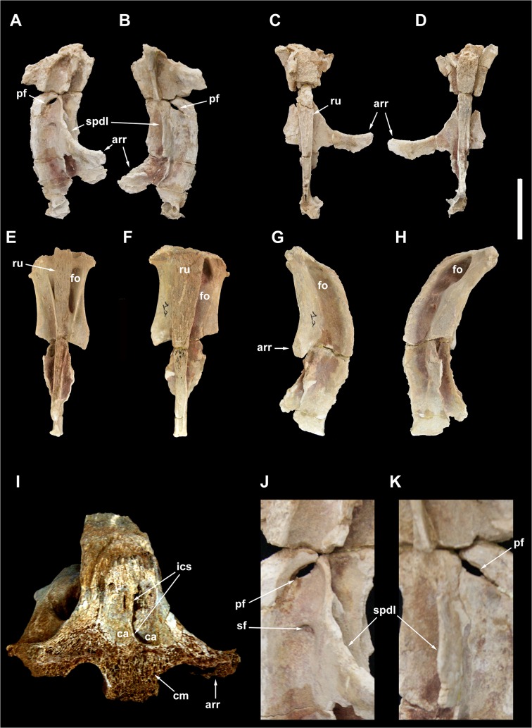 Fig 5