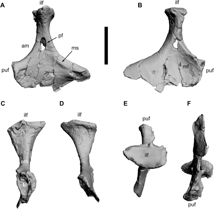 Fig 20