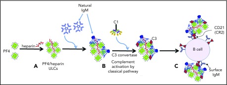 Figure 7.