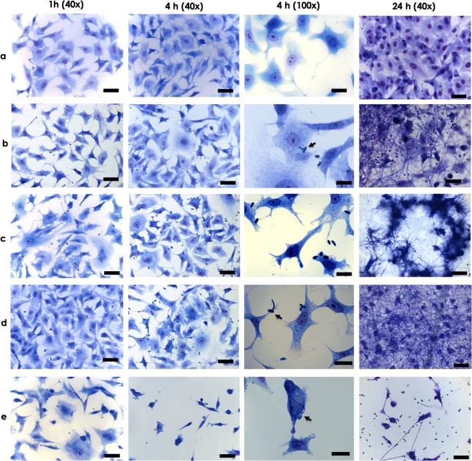 Fig. 2