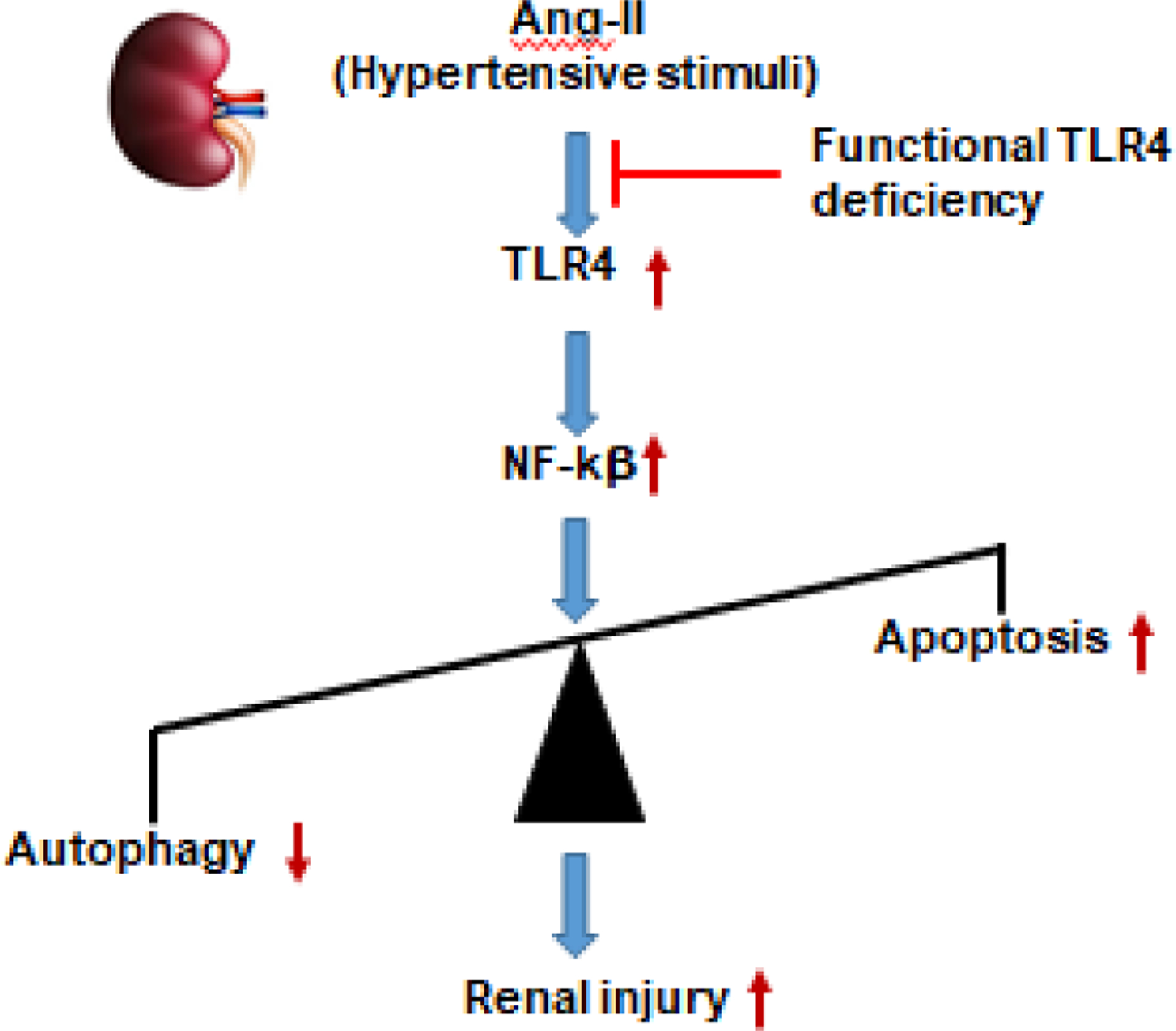 Fig. 8.