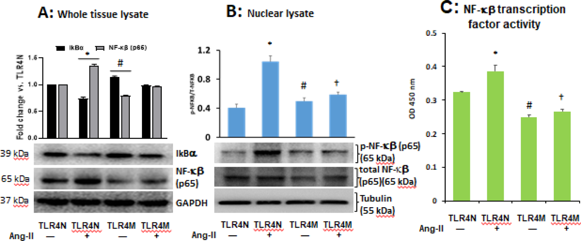 Fig. 6.