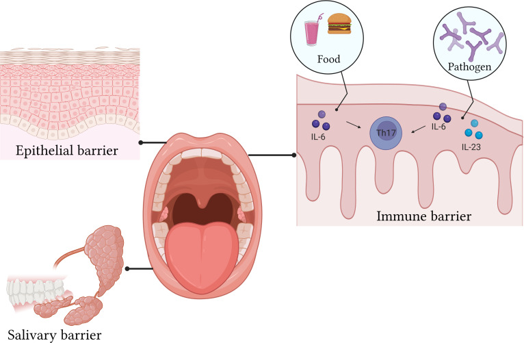 Figure 2